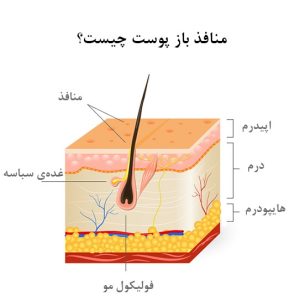 منافذ باز پوست